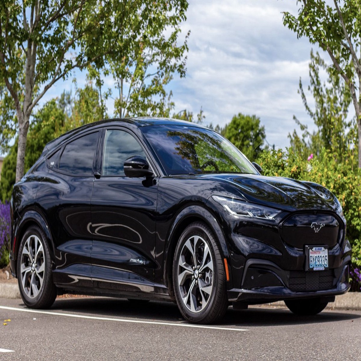 HR Mach-E Non-GTPE Sport Lowering Springs (2022-2023)